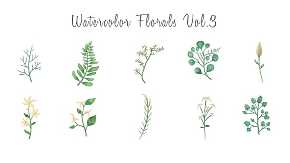 Watercolor floral elements Vol.3