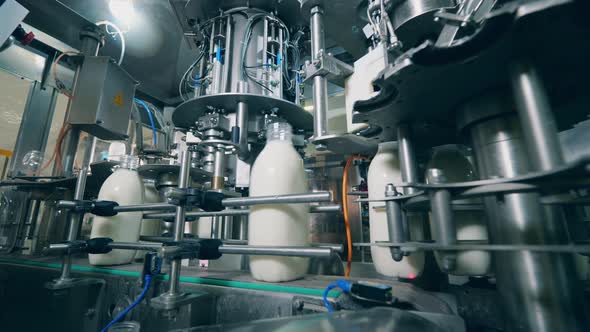 Bottles with Milk Moving on a Factory Line.