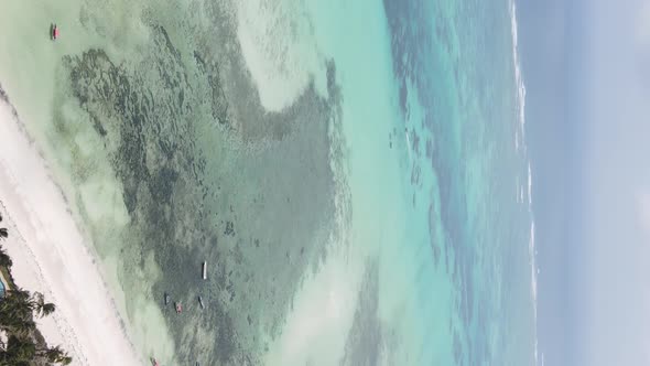 Vertical Video of the Ocean Near the Coast of Zanzibar Tanzania Aerial View