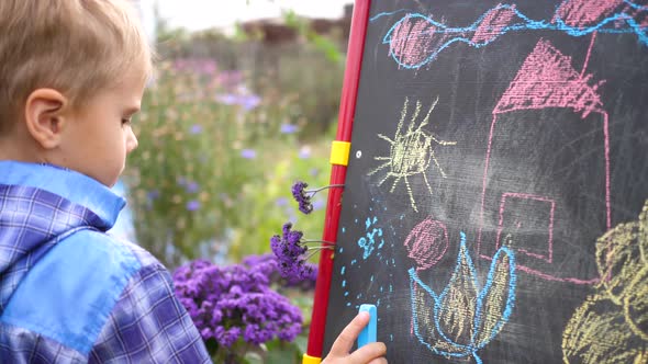 Young Artist Draws on the Board