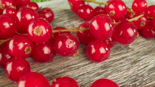 Redcurrants on a Wooden Table