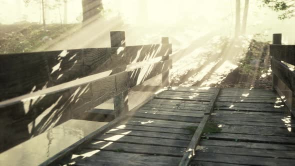 Wooden Bridge in the Forest in the Fog