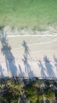 Vertical Video Empty Beach on Zanzibar Island Tanzania