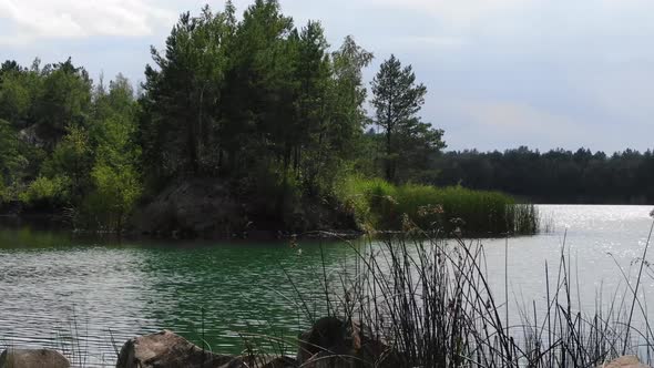 Low View of Beautiful Summer Lake With Grass in Foreground Surrounded by Forest Tracking Left