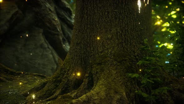 Fantasy Firefly Lights in the Magical Forest