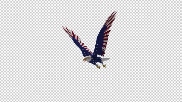 American Eagle - USA Flag - Flying Loop - Side Angle II