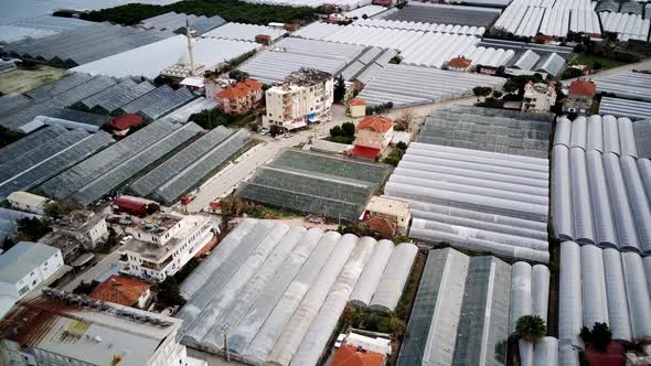 High angle drone aerial view of greenhouse fields of greens plantation in Demre, Turkey