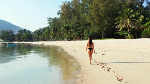 Tourists best friends on idyllic tourist beach wildlife by transparent lagoon with white sand backgr