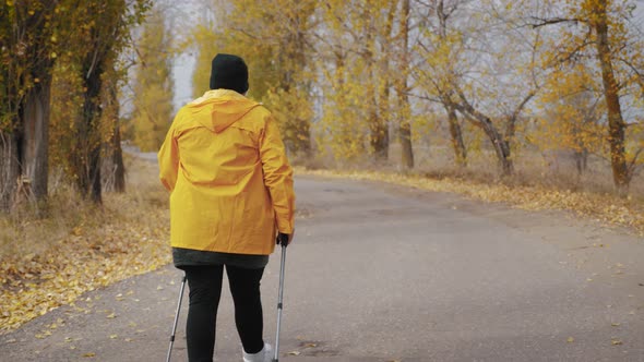 Senior Woman Making Nordic Walking in the Autumn Forest. Nordic Walking Race on Autumn Trail