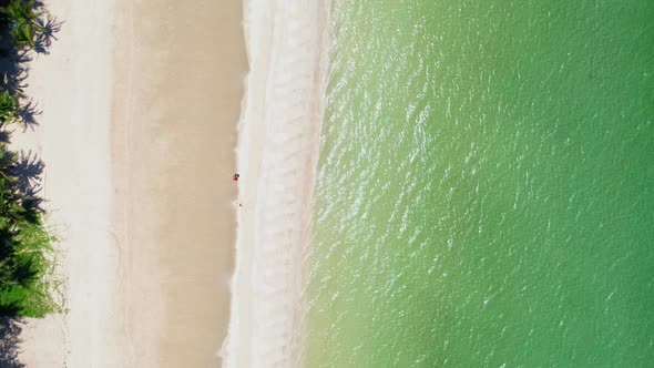 Aerial view, top view of white tropical beach with coconut trees