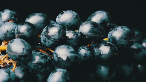 A Bunch of Blue Wet Grapes Spinning Slowly