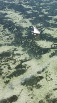 Boat Boats in the Ocean Near the Coast of Zanzibar Tanzania Slow Motion Vertical Video