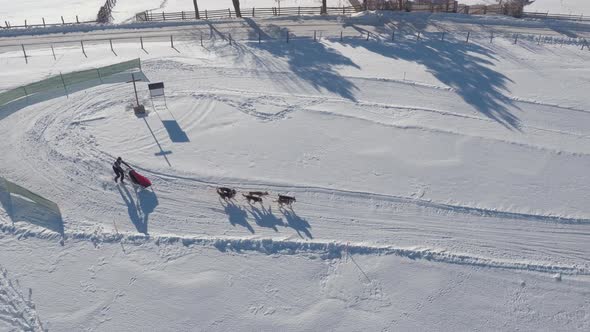 Aerial view of a dog sled riding on a curvy road