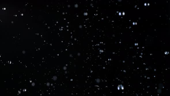 Super Slow Motion Shot of Real Rain Drops Falling Down Isolated on Black Background at 1000Fps