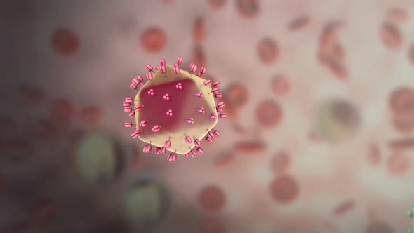 Destructive effect of HIV virus on cells alt