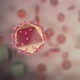 Destructive effect of HIV virus on cells - VideoHive Item for Sale