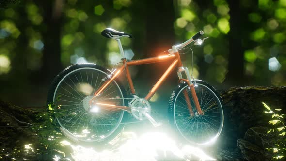 Mountain Bike on the Forest Path