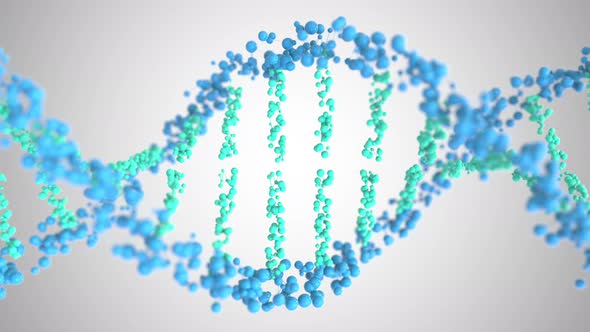 DNA Molecule