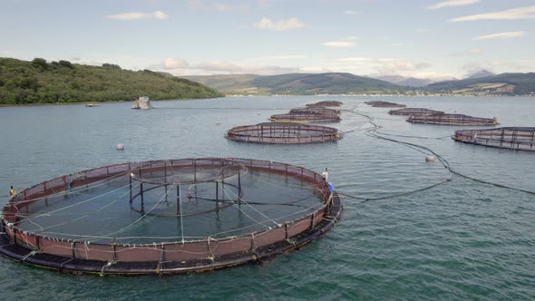 A Salmon Fish Farm in Scotland Providing Aquaculture for Food Markets