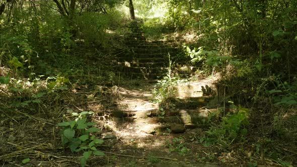 Daily scene on stone stairways in the forest 4K footage