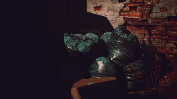 Ruins of a Very Heavily Polluted Industrial Factory alt