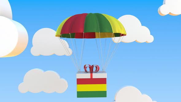 Box with Flag of Bolivia Falls with a Parachute