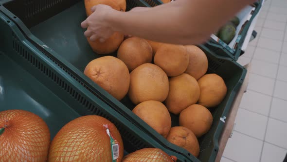 A Girl Chooses a Grapefruit on the Market