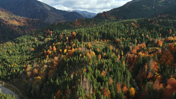 Aerial drone view of nature in Romania. Carpathian mountains