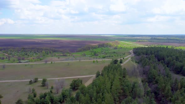 A Bird'seye View of the Road Between the Forest and Green Fields