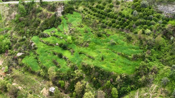 Farming on the banks of the river aerial view Alanya Turkey 4 K