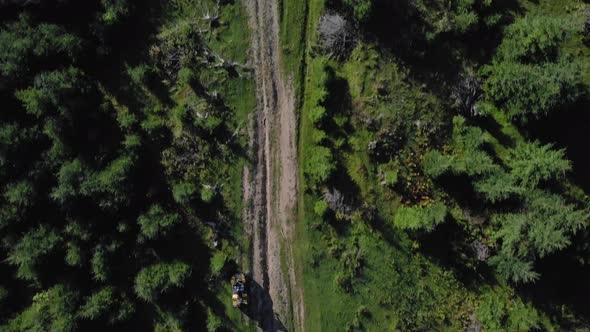 Summer Forest Landscape with Man Riding on Quad Bike