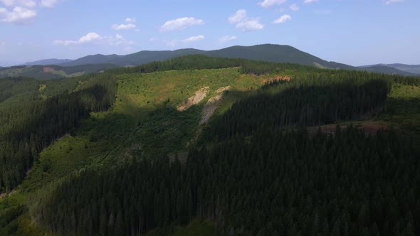 Aerial view of the beautiful mountain and forest in spring, Carpathian mountains, Ukraine