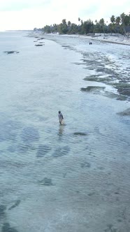 Tanzania  Vertical Video of the Ocean Near the Coast of Zanzibar Slow Motion