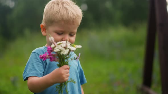 Happy Little Boy Holds Bouquet of Wildflowers in Park