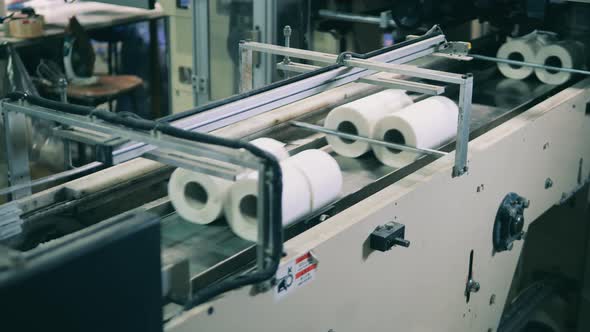 Toilet Paper Manufacturing Machine at a Modern Paper Mill