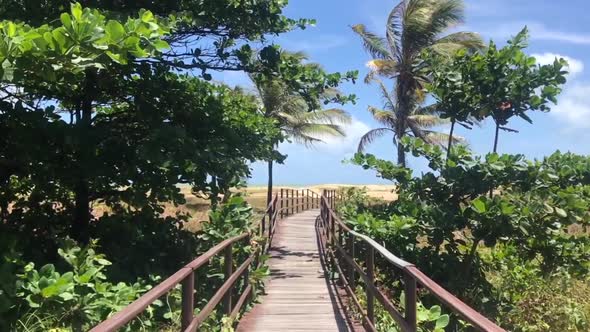 Walking at Wood Deck Across Forest Tropical Jungle Dunes and Beach