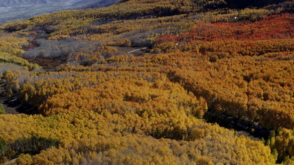 The colorful changing tree colors of Norther Utah. The yellow trees shown in the fall in the mountai