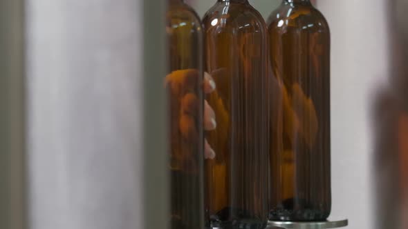 Bottling Wine By the Machine Into Bottles