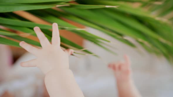 A Nice Little Caucasian Newborn Baby is Funny Smiling Lying Near Palm Tree