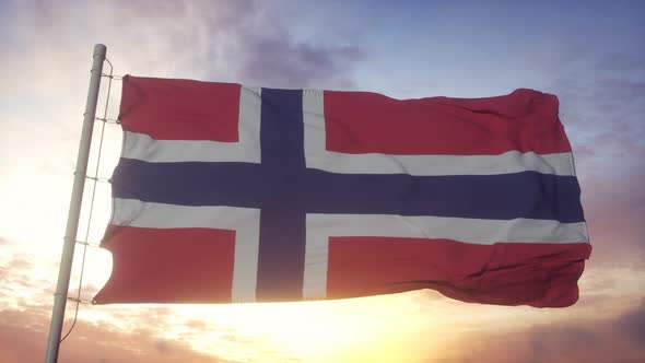 Flag of Bouvet Island Waving in the Wind Sky and Sun Background