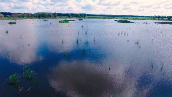 Aerial Look on Swamp Lake