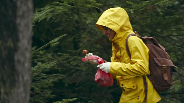 Joyful Woman in Yellow Raincoat Ripping Off a Mushroom Boletus in Green Thickets in Wet Wood After