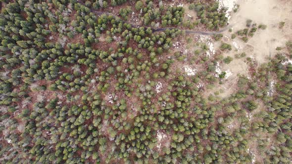 Aerial View of the Autumn Forest in the Mountains