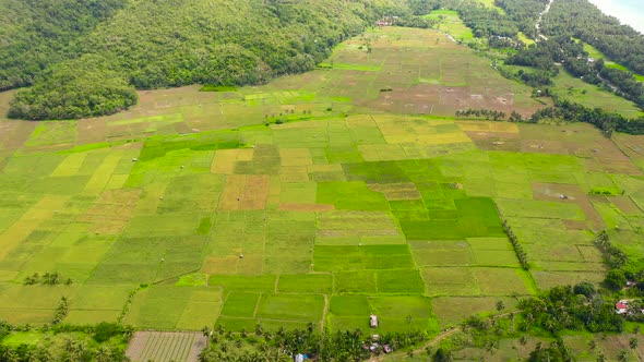 Paddy Fields in the Philippines, Mountain Landscape with Green Hills and Farmland