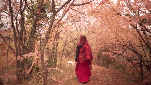 Scenery Fairy View of Mysterious Redhead Woman in Magnificent Red Dress Walking Through Golden Woods
