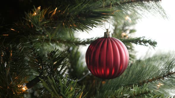 Decorative bauble on the branch close-up 4K 2160p 30fps UltraHD footage - Shiny red ornament hanged 