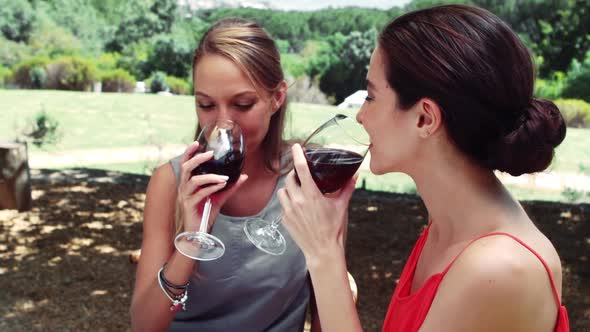 Two friends drinking red wine