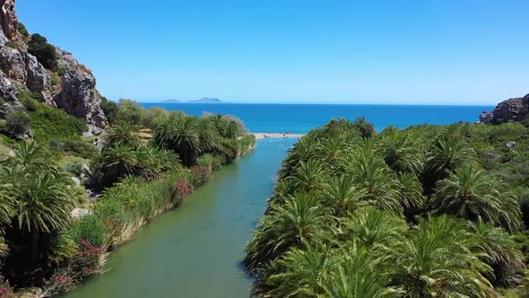 The epic palm forest Vai in Crete. A river is flowing throgh and ends up in the sea.