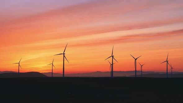 Wind Farm At The Sunset