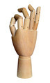 Artists jointed hand model - PhotoDune Item for Sale